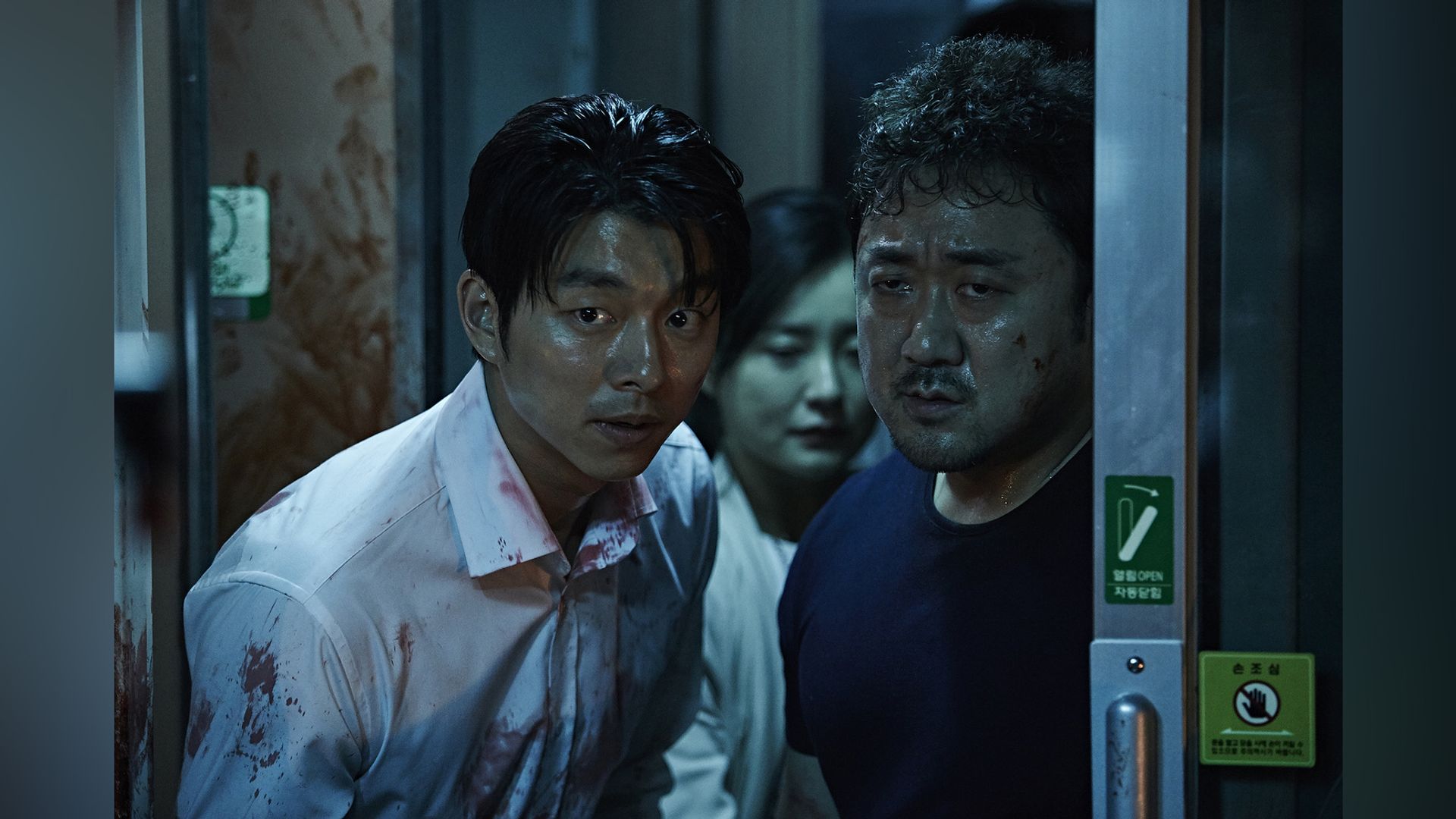 Ma Dong-seok en 'Train to Busan'