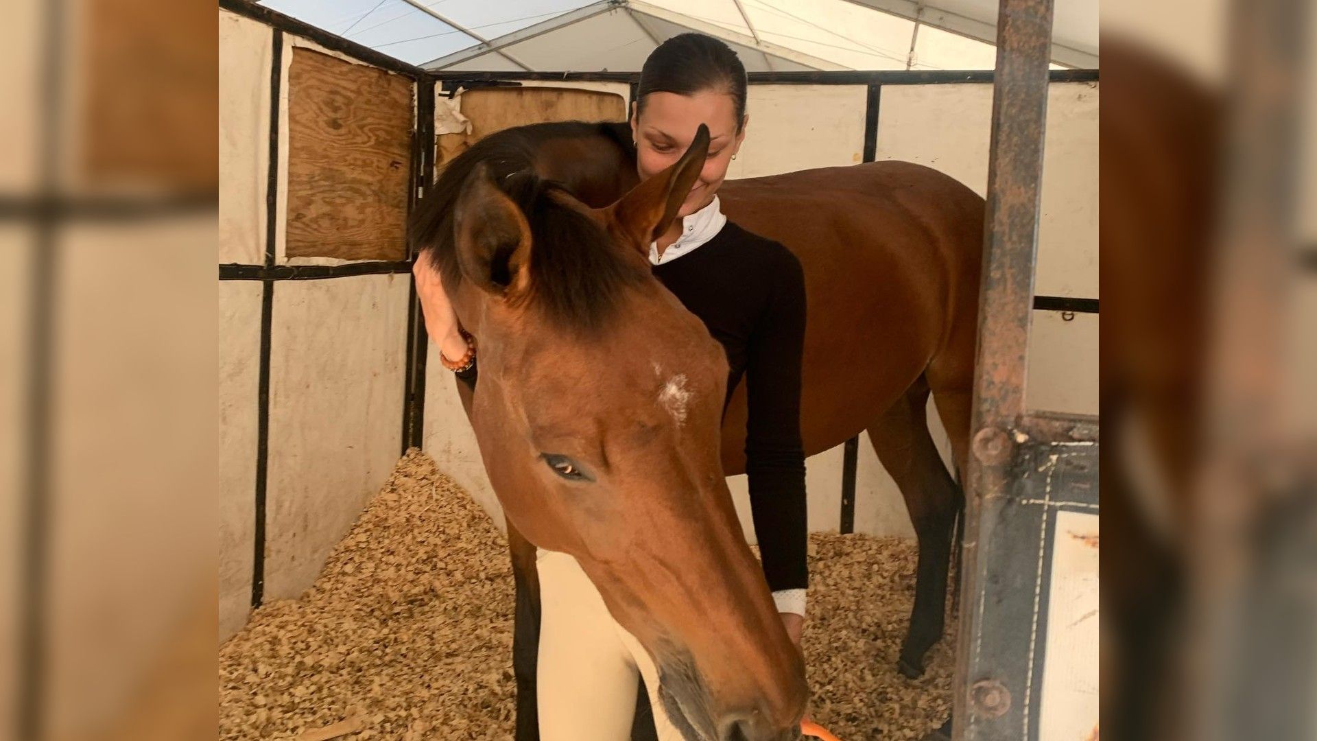 Los caballos ayudan a Bella a encontrar paz mental