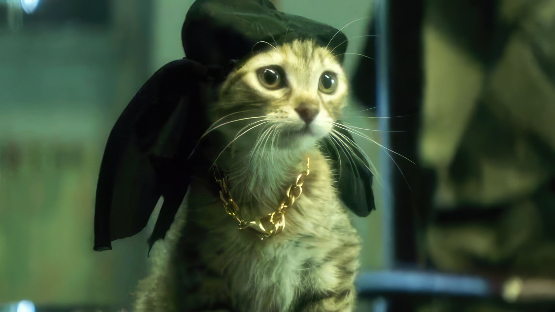 El peludo tocayo de Keanu Reeves