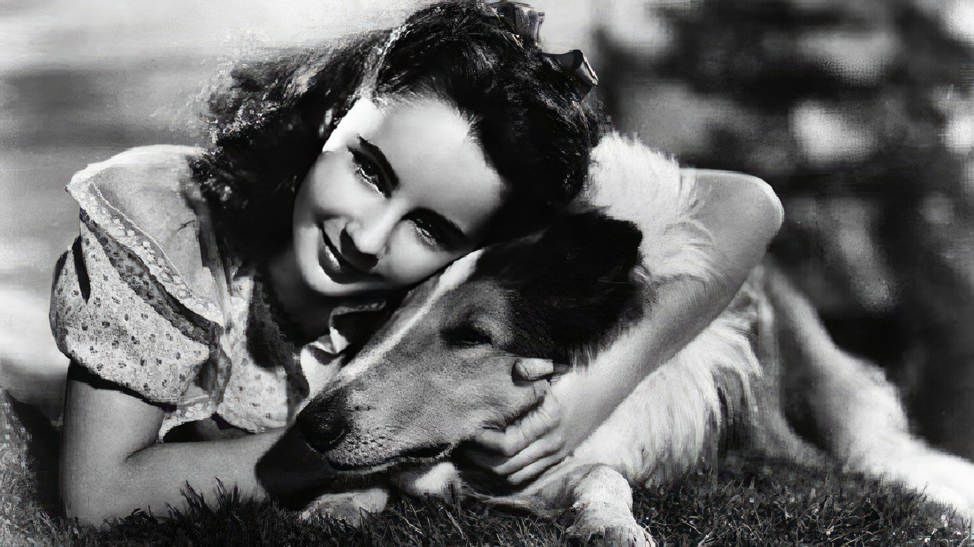 Una escena de la película 'Lassie Come Home'