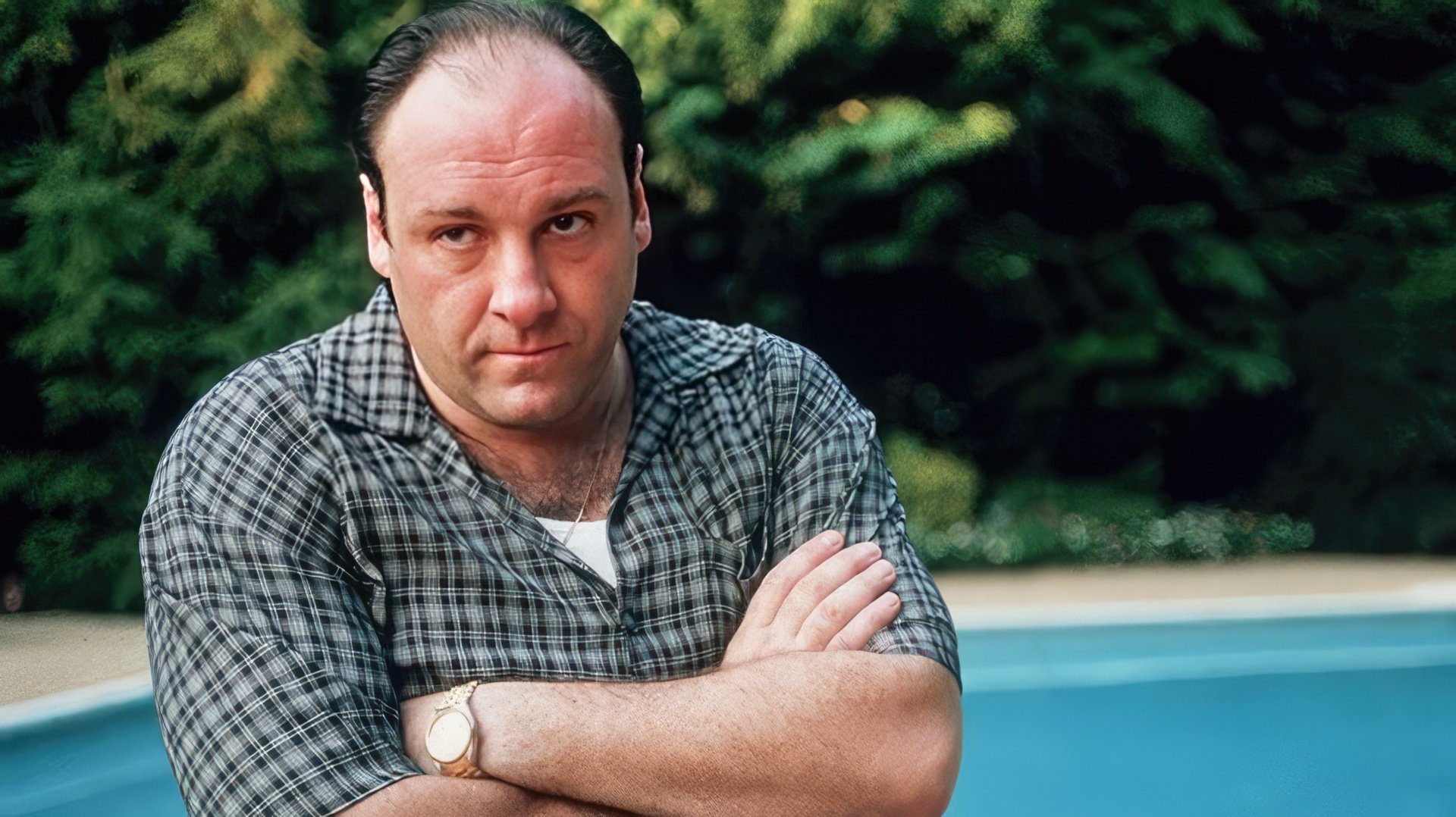 James Gandolfini como Tony Soprano