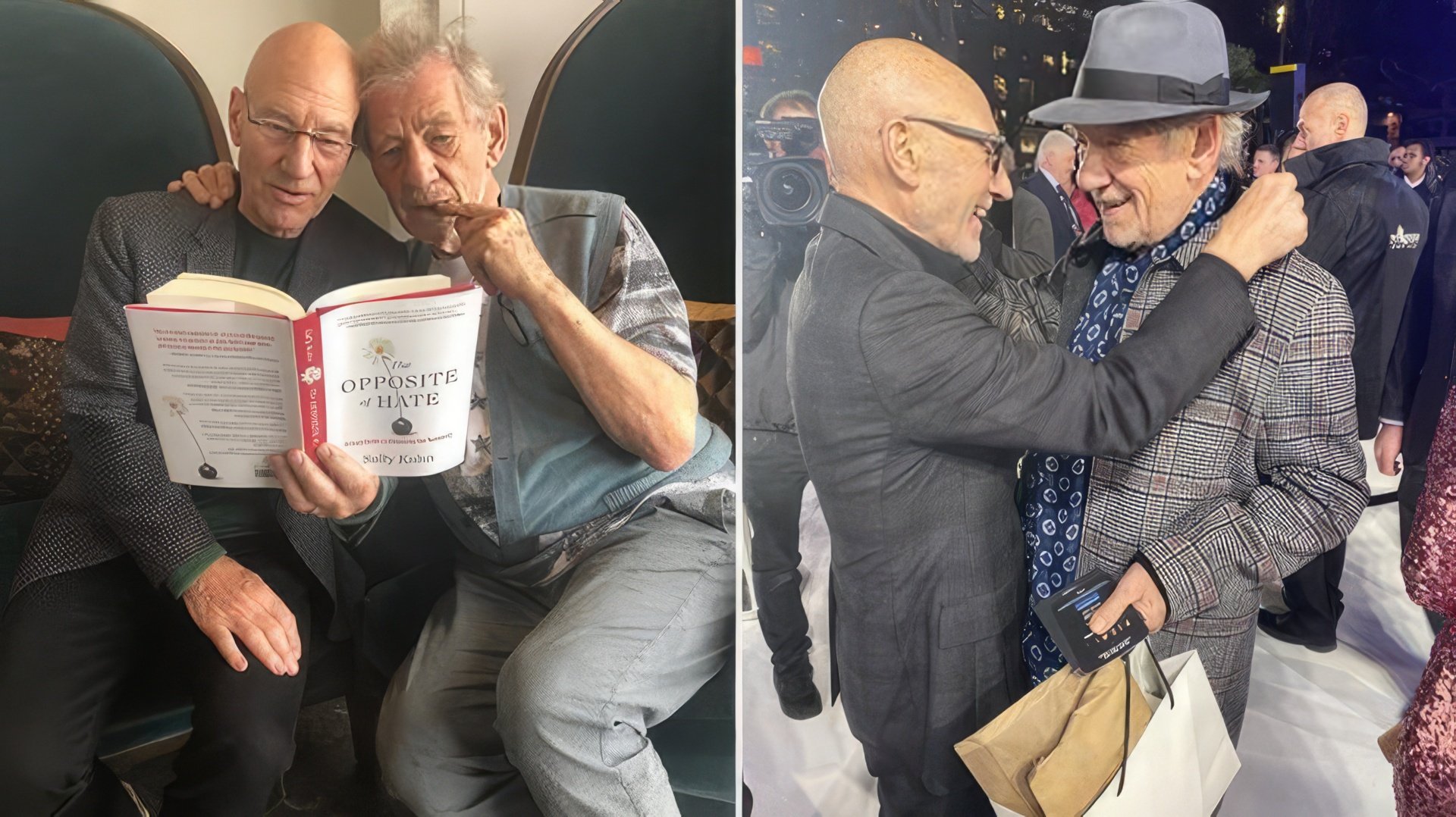 Patrick Stewart e Ian McKellen