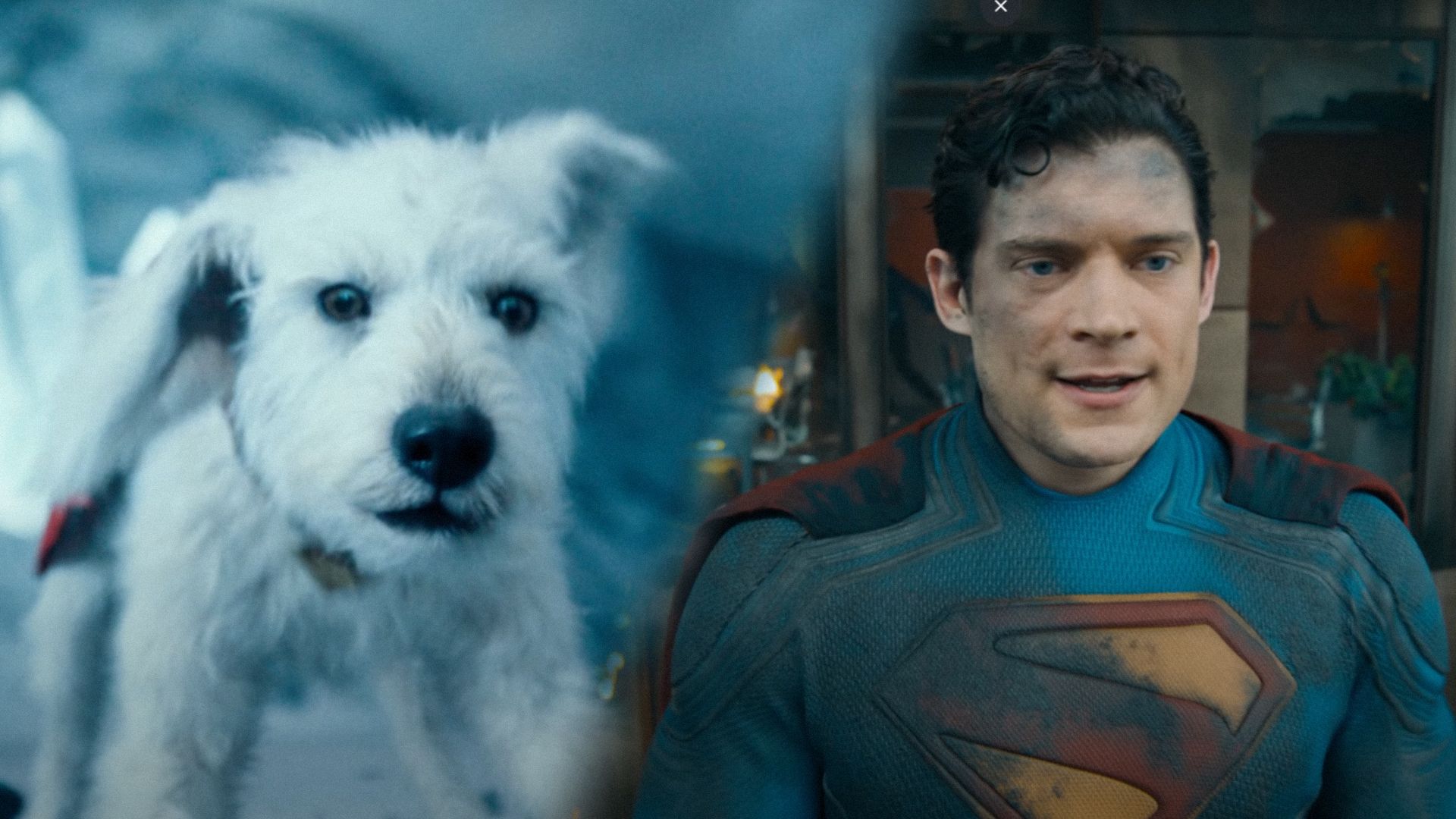 Un perro blanco con una capa roja en su espalda mira a la cámara, el actor David Corenswet en un traje de superhéroe sucio mira hacia un lado contra el telón de fondo de un edificio