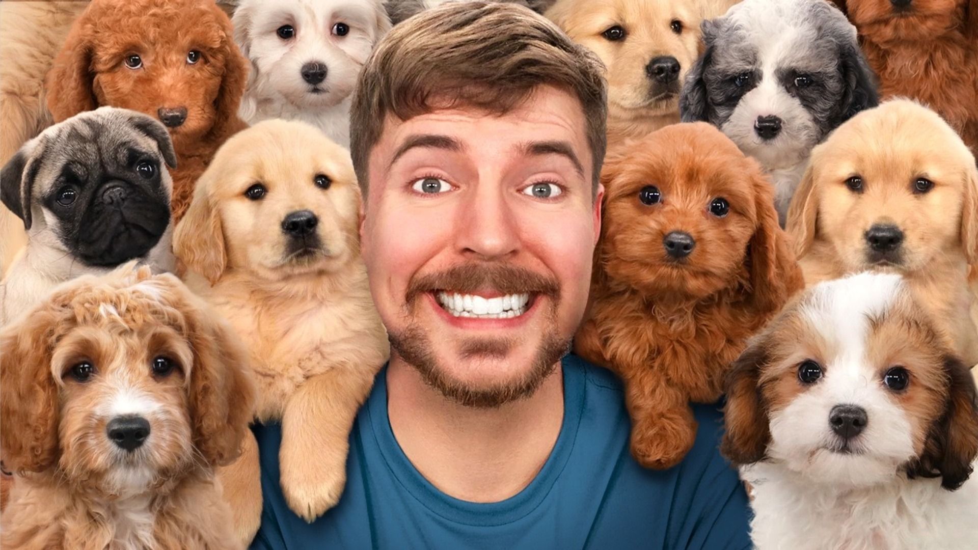 El blogger MrBeast sonríe y mira a la cámara rodeado de cachorros