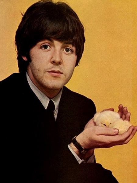 foto de Paul McCartney 4